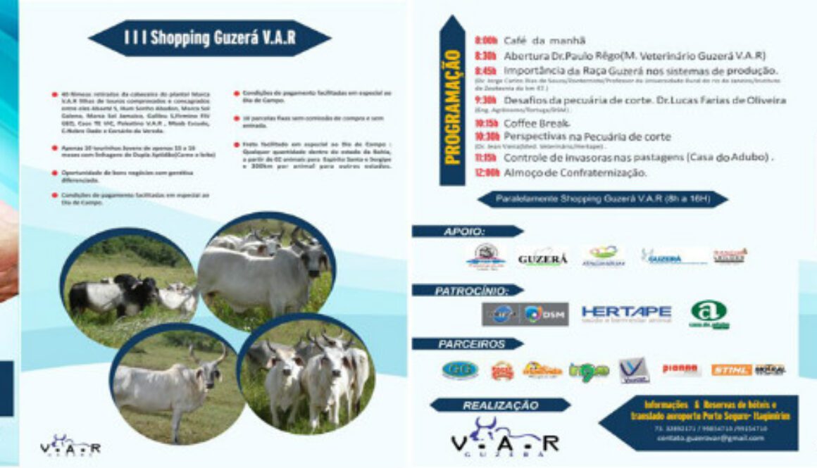 Banner_Dia_de_Campo_VAR_2