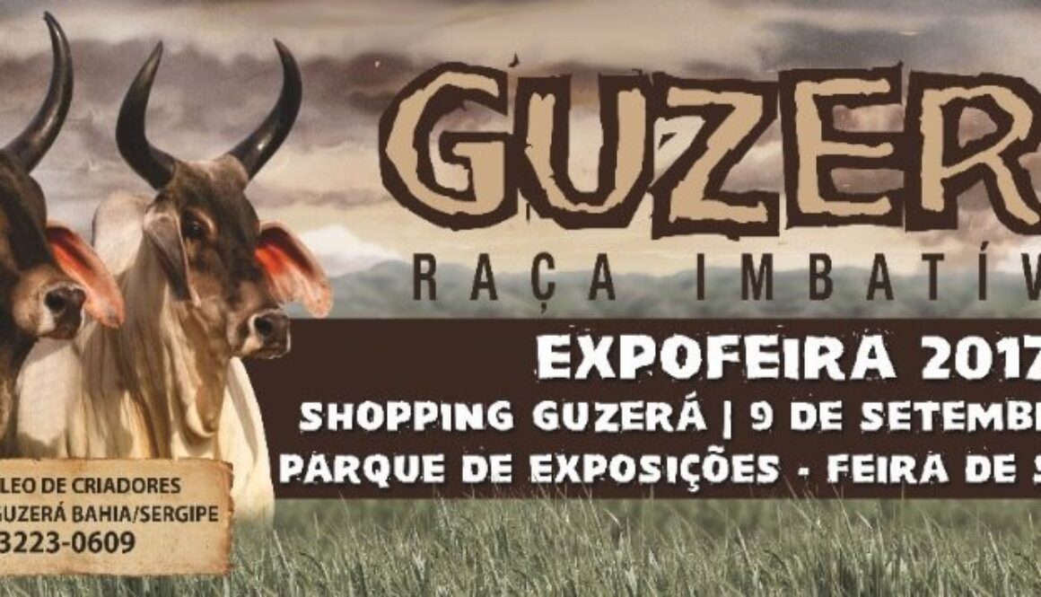 Banner_Shopping_ExpoFeira2017