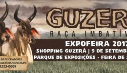 Banner_Shopping_ExpoFeira2017