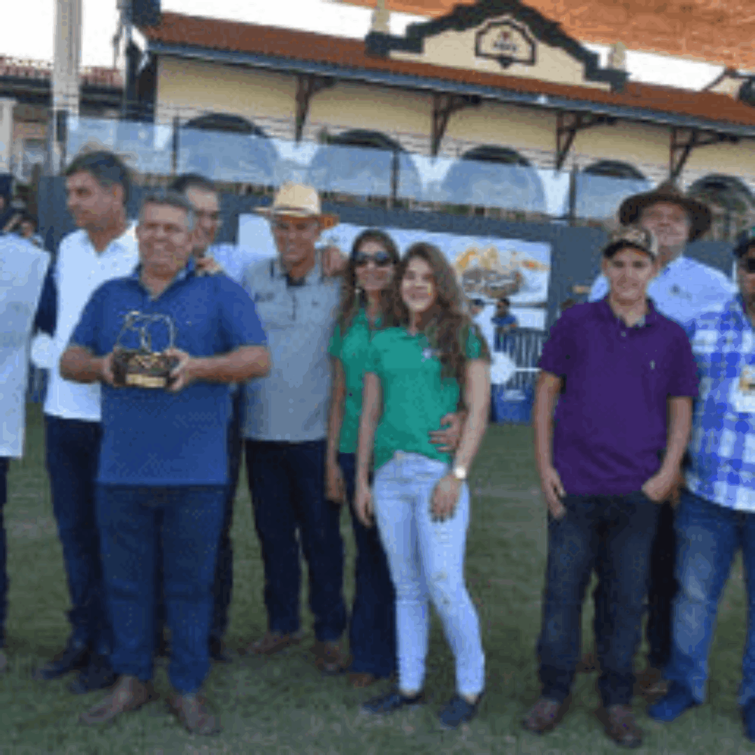 Campeão Touro Sênior & Grande Campeão da Raça Guzerá na 84ª Expozebu